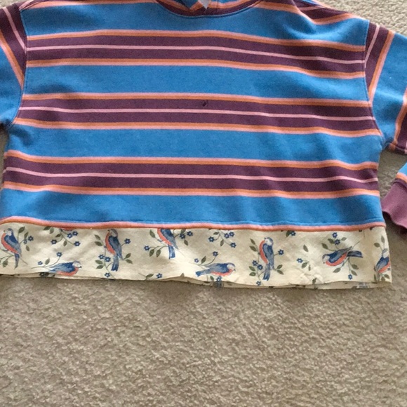URBAN OUTFITTERS OUT FROM UNDER/STRIPED CROPPEDw BLUE BIRDS HOODIE - Picture 3 of 7